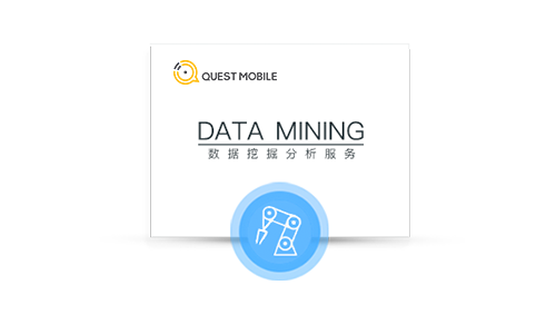 DATA MINING 数据挖掘分析服务